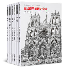 画给孩子的历史奇迹：拆除摩天大楼/大教堂/城市/金字塔 全6册 11-14岁凯迪克奖获奖作品