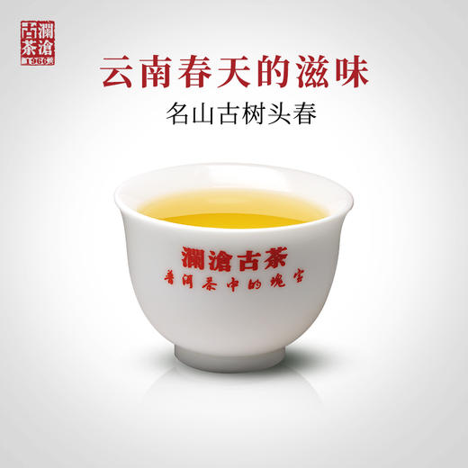 澜沧古茶古今传奇7012名山古树头春茶纯料普洱茶生茶250g金瓜*12 商品图2