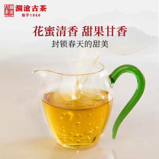 【老茶开仓专享】澜沧古茶2013景迈春香普洱生茶大饼357g 商品图4