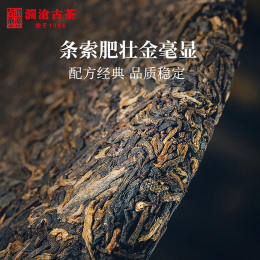 澜沧古茶2019年0081普洱茶熟茶熟普老树七子饼茶叶357g云南特产 商品图1