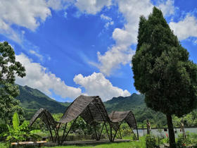  虚心谷开园：谷中无所有，聊赠一捧春 