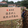 【焦作基地直发】东济堂温县山药种植基地  现挖垆土铁棍山药 人工挖掘 铁锈红斑 60cm礼盒装五斤 商品缩略图1