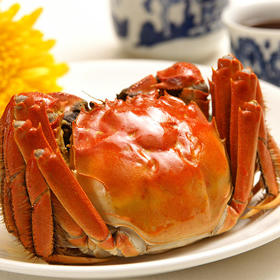 【满150元全疆包邮】江苏大闸蟹 每周空运到货1-2次 死蟹包赔（2-3两母*8只）