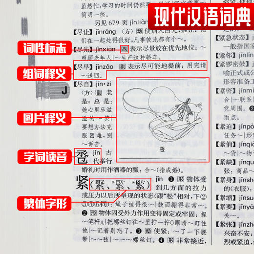 现代汉语词典（第7版）+古汉语常用字字典（第5版）现代汉语词典最新版 正版第7版商务印书馆+古汉语 商品图4