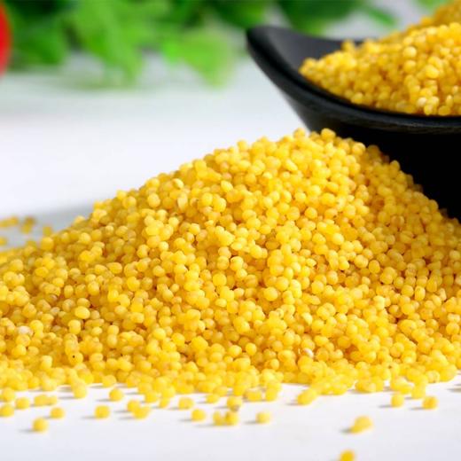 三晋黄小米 5kg 商品图1