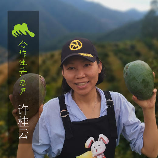 生态芒果干（攀枝花） | 合作生产 *Eco- Dry Keitt mango | Coproduction 商品图5