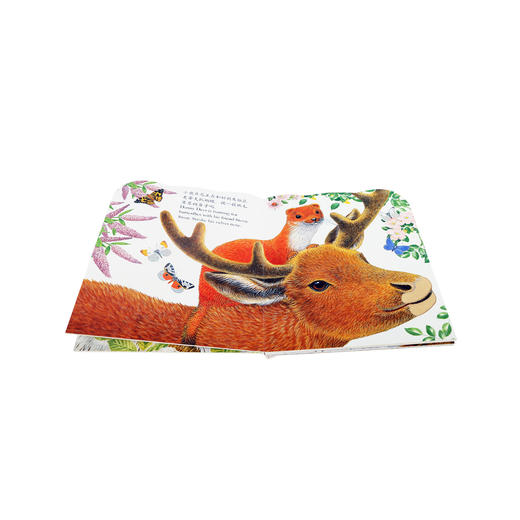 绘本馆：亮丽精美触摸书（共4册）V3.1-小熊波比 中英双语 0-3岁亲子共读 3-6岁  原价56.8 商品图2