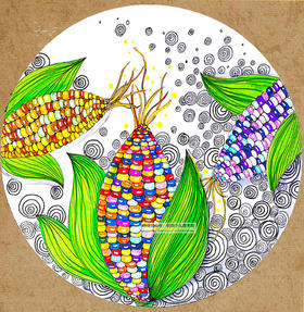 《美味的玉米》【自动发货：下单后，点击手机短信中收到的链接，即可获取文件下载的链接；如有任何问题，可添加客服微信hm33268获得帮助】