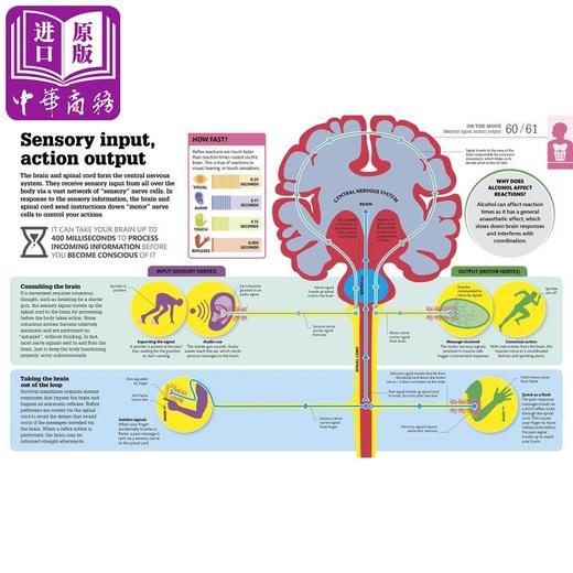 【中商原版】DK-How the Body Works 商品图3