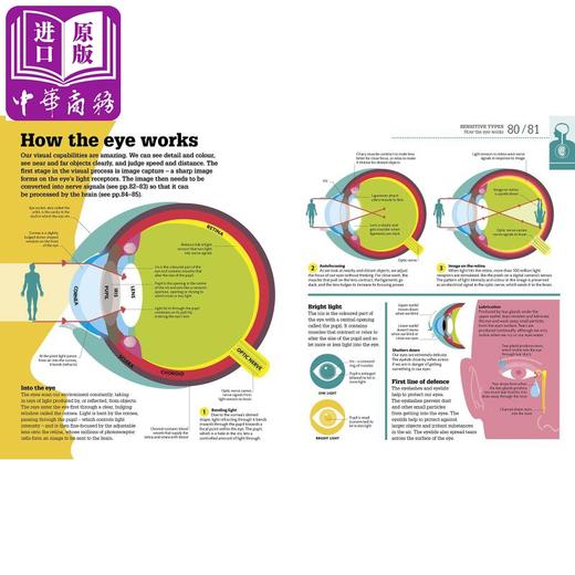 【中商原版】DK-How the Body Works 商品图4