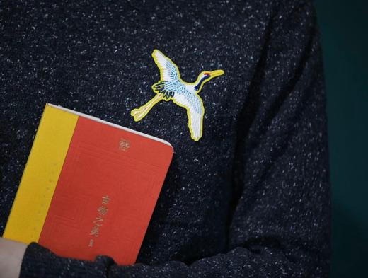 【祝勇钤印本】人文之宝2020·古物之美（附赠精美刺绣贴） 商品图7