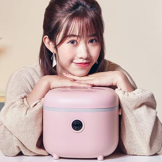 小熊（Bear）迷你电饭煲2L智能可预约电饭锅2-4人DFB-B20A1产地直发  商品图1