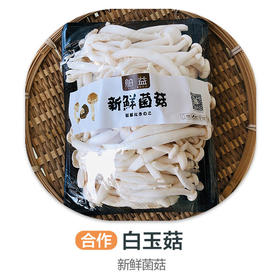 白玉菇