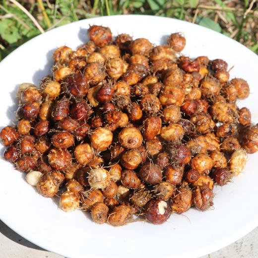 密农人家农户自种油莎豆生吃脆甜油炸酥香1斤