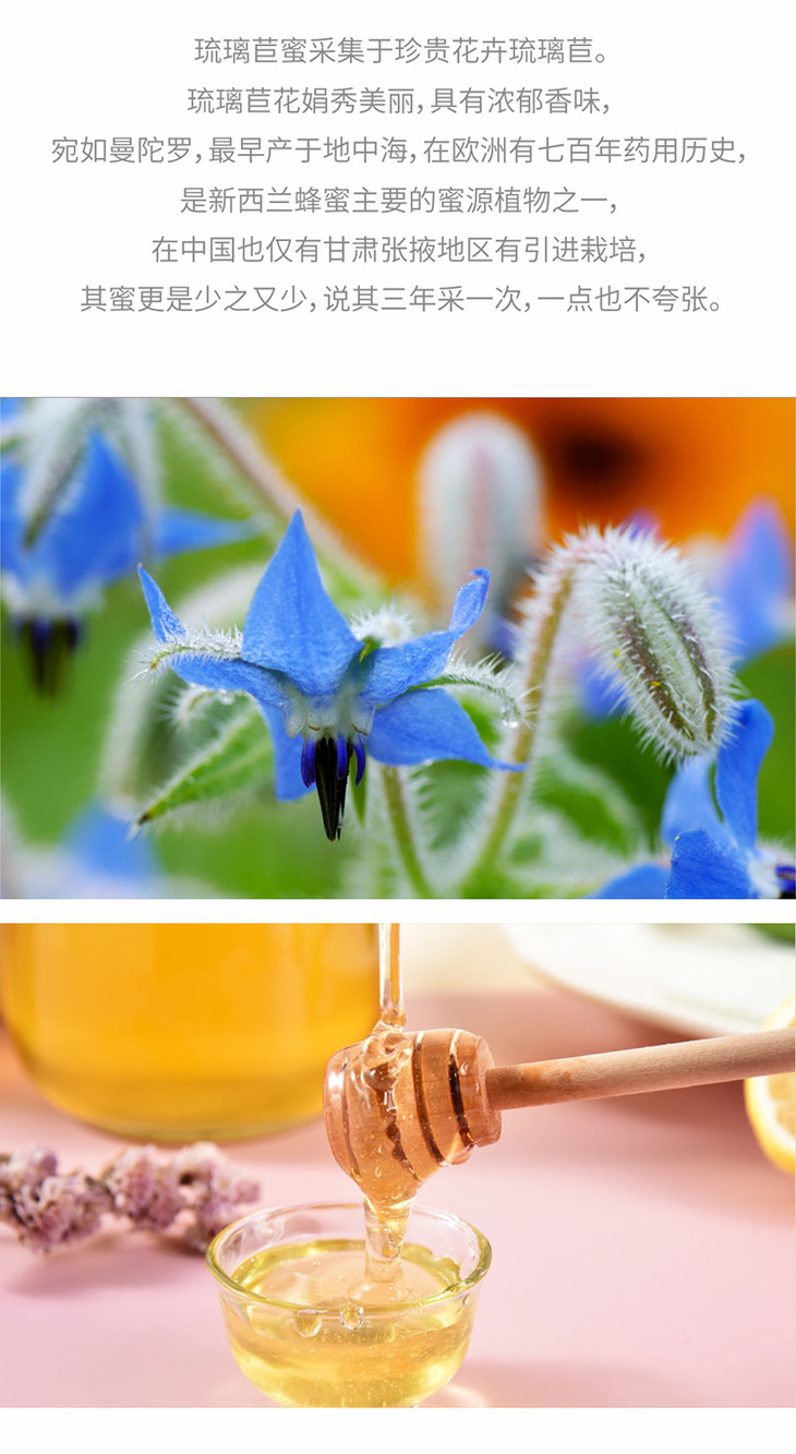 琉璃苣蜜等蜂来蜂蜜甘肃张掖琉璃苣蜜618g采自欧洲使用了七百年的药用