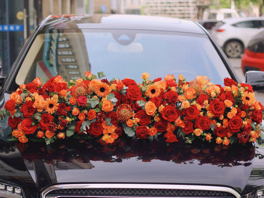 红色系2 商品图0