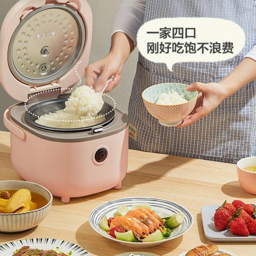 小熊（Bear）迷你电饭煲2L智能可预约电饭锅2-4人DFB-B20A1产地直发  商品图5