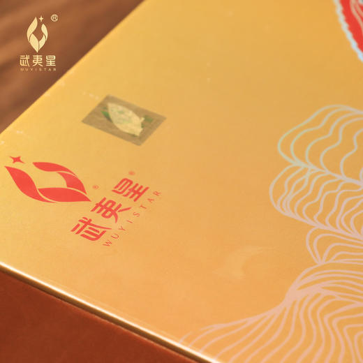 【岩骨花香】武夷星 金典大礼包 8g X 60小袋共480克大礼盒装 8盒/件 商品图4