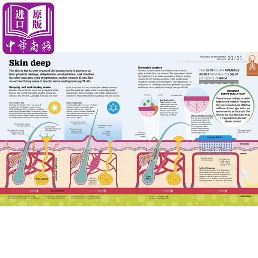 【中商原版】DK-How the Body Works 商品图2