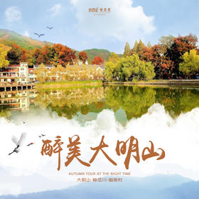 【妈网亲子】醉美大明山 /// 赏枫正当时，看万山红遍，层林尽染，感受浓浓秋意，大明山、神龙川、指南村，周末带家人一起去隐世美景地~