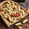 原味花生带壳精选花生 商品缩略图2