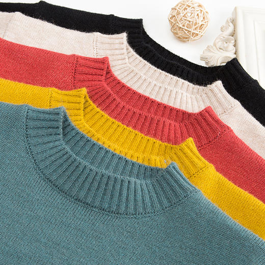 PY-38852       秋冬装新款时尚刺绣女士韩版宽松半高领打底针织毛衣套头 商品图5