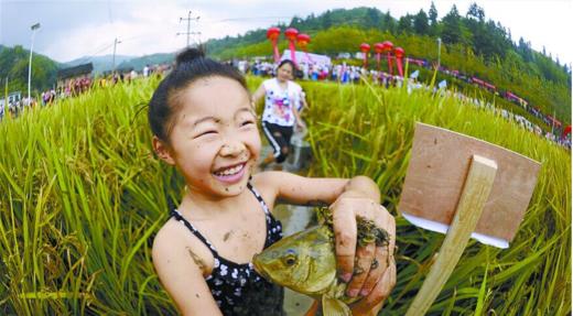 小田大米认养年套餐 商品图2