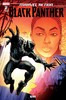 黑豹 Marvel Action Black Panther 商品缩略图4