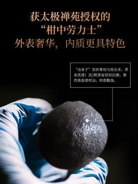 茶马世家 黑金货郎小青柑品尝散装10颗（无礼盒）