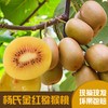 中国农业的芯片--杨氏猕猴桃， 水果之王， 只有新西兰金果可一比高下 商品缩略图9