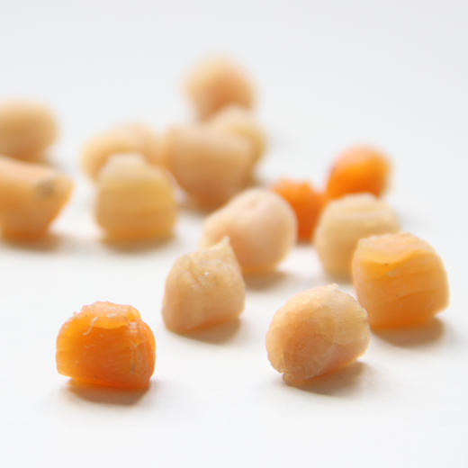 东海野生淡干干贝 | 无盐淡晒 粒大饱满 味美鲜香 商品图2