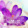 铂澜咖啡学院 哥伦比亚慧兰精选A+水洗咖啡豆 可现磨粉 商品缩略图0