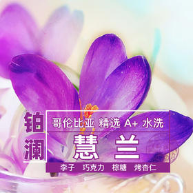 铂澜咖啡学院 哥伦比亚慧兰精选A+水洗咖啡豆 可现磨粉