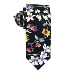 领带 多色可选 批发私聊 238一条 顺丰到付