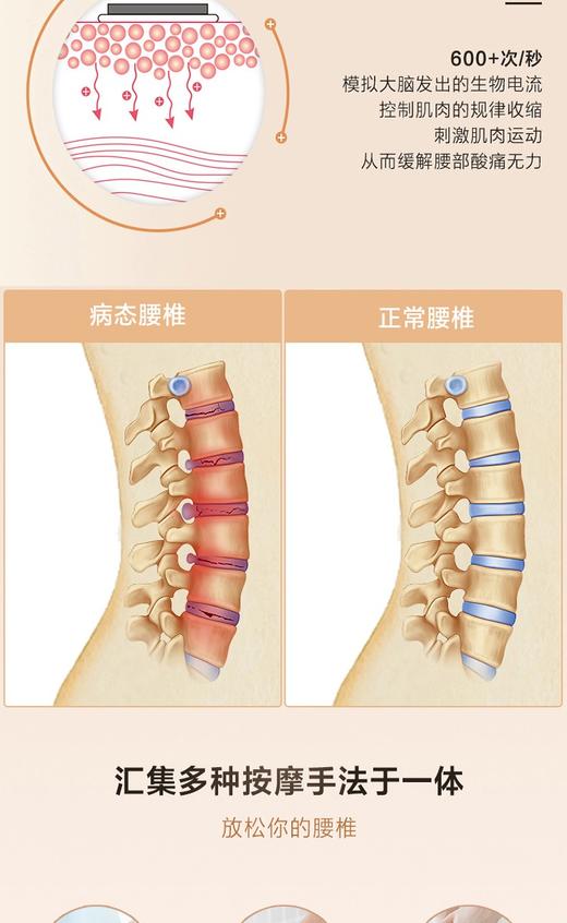 【品牌授权】攀高智能腰腹部按摩仪护腰带腰椎牵引按摩器PG-2645 珍珠白JPY带授权招加盟代理 商品图10