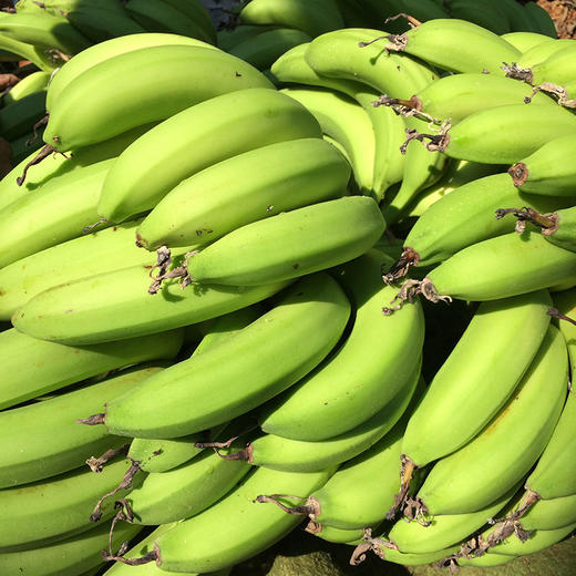 福建天宝香蕉5斤装