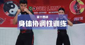 14.身体协调性训练