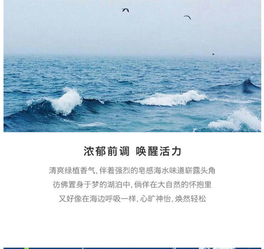 DAVIDOFF大卫杜夫 冷水男士淡香水EDT 75mlJPY带授权招加盟代理 商品图5