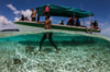 【度假村】印尼四王岛Raja Ampat Papua Diving 潜水套餐 【2023年8月更新】 商品缩略图1