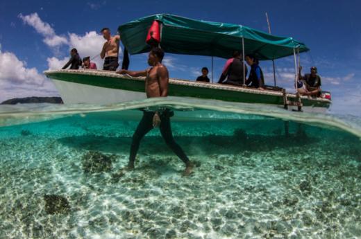 【度假村】印尼四王岛Raja Ampat Papua Diving 潜水套餐 【2023年8月更新】 商品图1