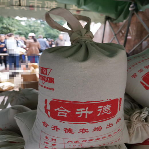 热销中【自营】内蒙古合升德农场生态黄小米 商品图2