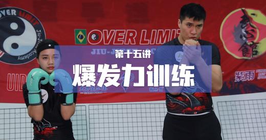 15.爆发力训练 商品图0