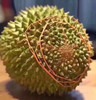 【猫山王榴莲】正宗D197液氮猫山王最新到货！最好吃的榴莲哦（后补差价） 商品缩略图3