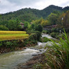 富硒竹林跑鸡蛋，真正散养在竹林的跑鸡蛋，放羊山里哟[呲牙]真的很黄很香[捂脸][捂脸] 给宝宝天然的健康营养 不快递 商品缩略图6