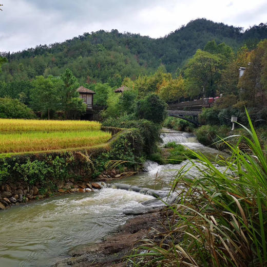 富硒竹林跑鸡蛋，真正散养在竹林的跑鸡蛋，放羊山里哟[呲牙]真的很黄很香[捂脸][捂脸] 给宝宝天然的健康营养 不快递 商品图6