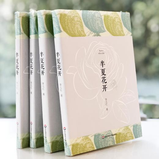 半夏花开 李元红著 散文体小说 都市女性励志读物 商品图0
