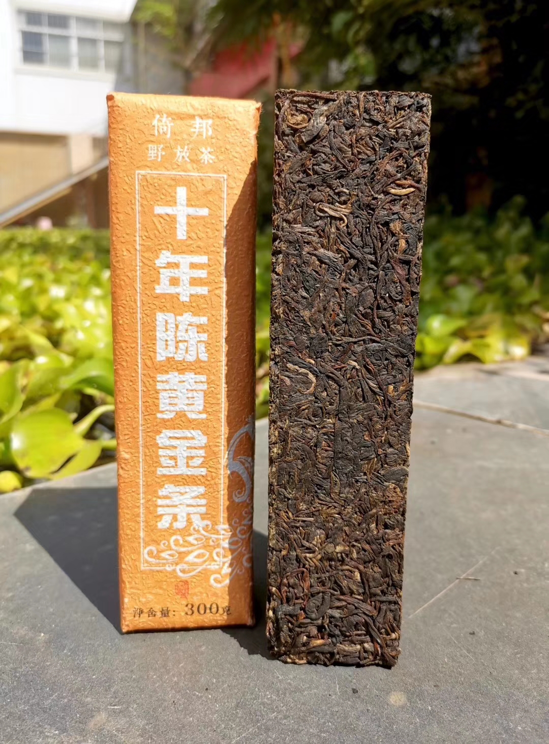 新品重磅●10年陈·黄金条,采用2009年倚邦小叶种野生茶压制!