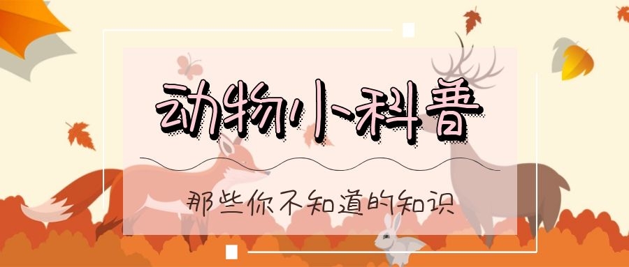 动物科普课