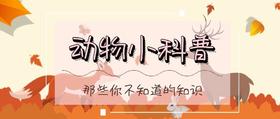 动物科普课