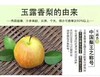 玉露梨香梨 礼盒10枚装大果 商品缩略图4